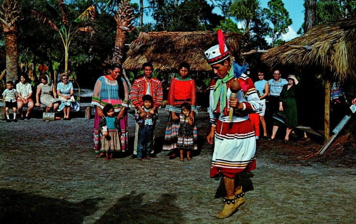 Floridaland - Vintage Postcard